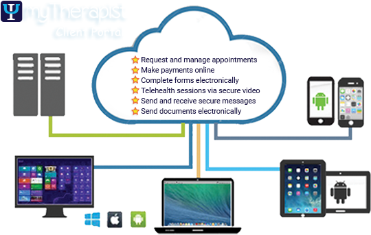 Therasoft Online Client Portal